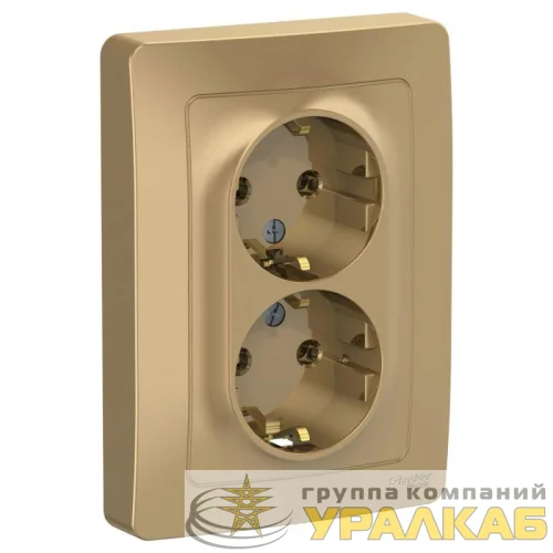 Розетка 2-м СП Blanca 16А IP20 250В с заземл. без защ. шторок титан SE BLNRS001024 детальная картинка