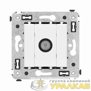 Розетка телевизионная оконечная TV СП Avanti "Белое облако" DKC 