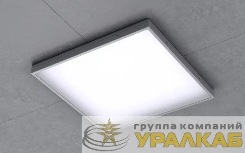 Светильник 14 933 ДВО-08-О-30-4К-IP54 Innolux 14933 детальная картинка Светильник 14 933 ДВО-08-О-30-4К-IP54 Innolux 14933 детальная картинка