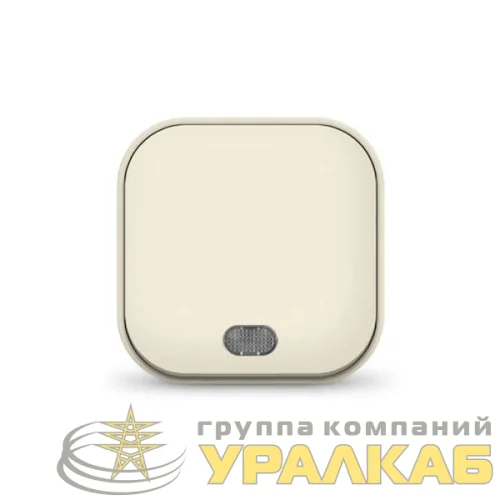 Выключатель 1-кл. 1п ОП 10А IP20 с подсветкой сл. кость IONICH 1424 детальная картинка