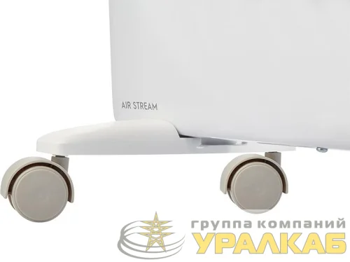 Конвектор электрический ECH/AS -1000 MR Electrolux НС-1120233 детальная картинка