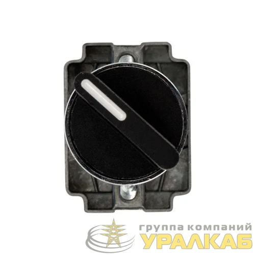 Переключатель BD21 2P короткая ручка NO Rexant 