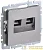 Розетка компьютерная двойн. СП RJ45 кат.5E BRITE РК10-2-БрС механизм сталь IEK BR-K20-1-K46
