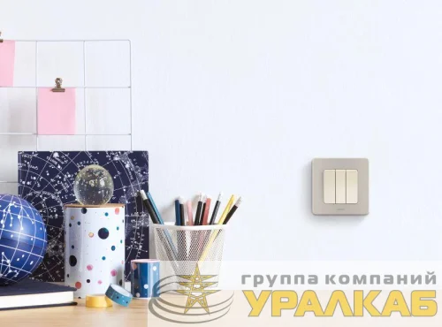 Выключатель 3-кл. Inspiria 20А IP20 250В 10AX механизм сл. кость Leg 673641 детальная картинка