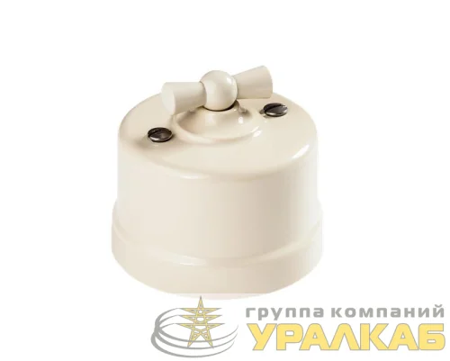 Выключатель поворотный 2-кл. ОП Лизетта 10А IP20 ретро 4 полож. ABS-пластик сл. кость Bironi B1-202-211 детальная картинка