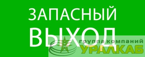 Пиктограмма "Запасный выход" 240х95мм (для SAFEWAY-10) EKF pkal-02-02 детальная картинка