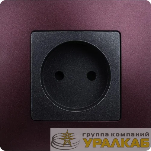 Рамка 1-м Etika сливовый Leg 