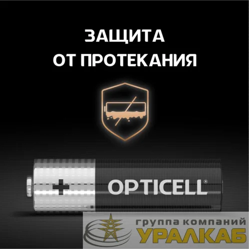 Элемент питания алкалиновый AA/LR6 (блист. 4шт) Basic Opticell 5051001 детальная картинка