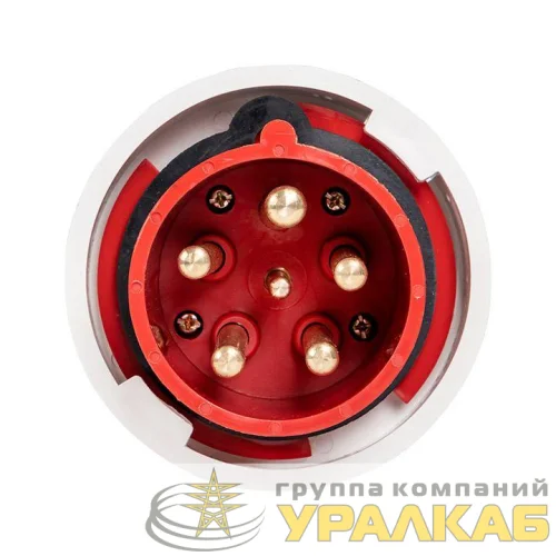 Вилка переносная 035 63А 3P+PE+N 380В IP67 EKF ps-035-63-380 детальная картинка