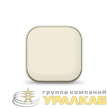 Выключатель 1-кл. 1п ОП 10А IP20 сл. кость IONICH 1423
