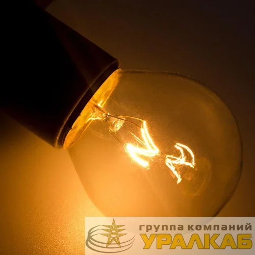 Лампа накаливания BL 10Вт E27 прозр. NEON-NIGHT 401-119 детальная картинка