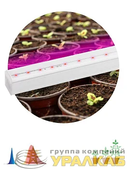 Светильник светодиодный для растений FITO-9W-Т5-N 9Вт 220-240В линейный для периода вегетации фиолет. свечение ЭРА 