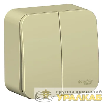 Выключатель 2-кл. ОП Blanca 10А IP20 (сх. 5) 250В с изолир. пластиной беж. SE BLNVA105017