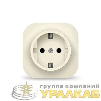 Розетка 1-м ОП 16А IP20 с заземл. сл. кость IONICH 1433
