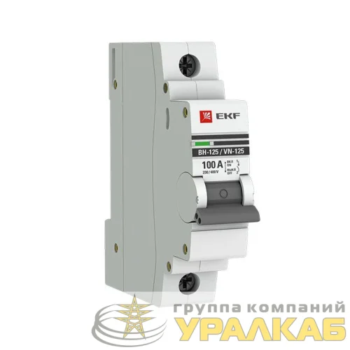 Выключатель нагрузки 1п 100А ВН-125 PROxima EKF SL125-1-100-pro детальная картинка