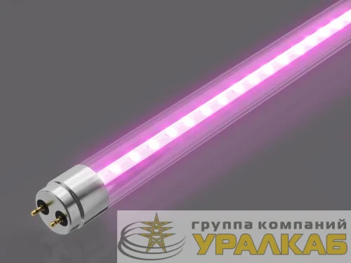 Лампа светодиодная AL T8-9-BR-600 FITO 9Вт G13 600мм для растений красн./син. AVANLED 12206011 детальная картинка