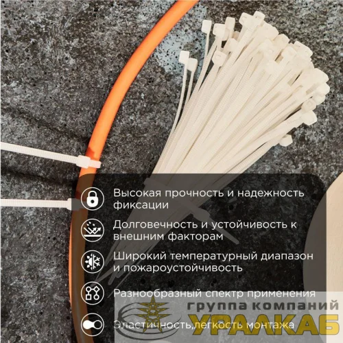 Хомут кабельный 100х2.5 нейл. бел. (уп.100шт) PROCONNECT 