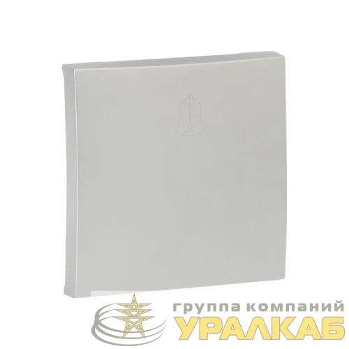 Панель лицевая Валенсия для кнопки звонка 10А сталь PROxima EKF ESV10-L-026-30 детальная картинка