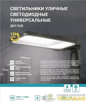 Светильник уличный линзованный светодиодный ДКУ-2UB 70Вт 230В 5000К 8750лм 125лм/Вт универсальный IP65 NEOX 