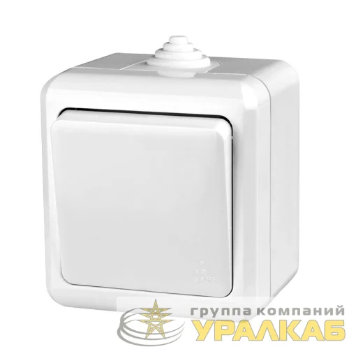 Выключатель 1-кл. ОП Dita IP54 10А 250В бел. TOKOV ELECTRIC TKL-DT-V1-C01-IP54 детальная картинка Выключатель 1-кл. ОП Dita IP54 10А 250В бел. TOKOV ELECTRIC TKL-DT-V1-C01-IP54 детальная картинка