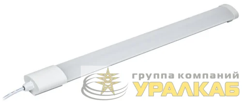 Светильник светодиодный ДСП 1103 32Вт 4000К IP65 (аналог 36Вт) GENERICA LDSP0-1103-032-4000-K01-G детальная картинка Светильник светодиодный ДСП 1103 32Вт 4000К IP65 (аналог 36Вт) GENERICA LDSP0-1103-032-4000-K01-G детальная картинка