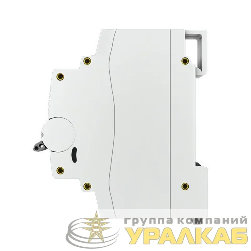 Выключатель нагрузки 2п 100А ВН-125 PROxima EKF SL125-2-100-pro детальная картинка