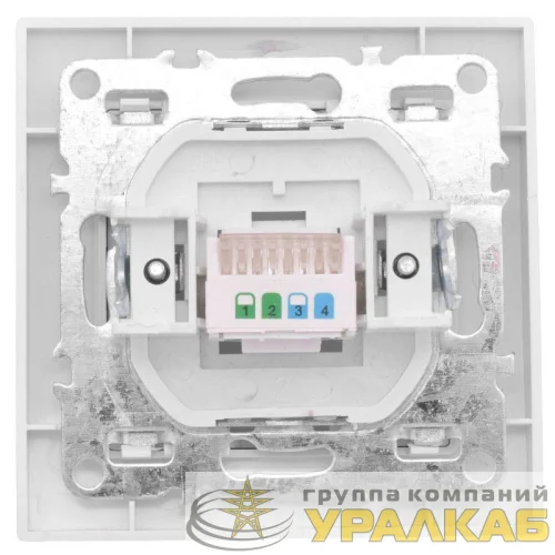 Розетка компьютерная 1-м СП Минск RJ45 бел. Basic EKF ERK01-035-10 детальная картинка