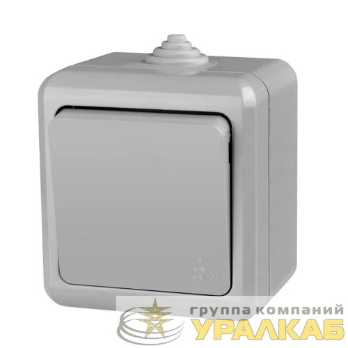 Выключатель 1-кл. ОП Dita IP54 10А 250В сер. TOKOV ELECTRIC TKL-DT-V1-C06-IP54 детальная картинка