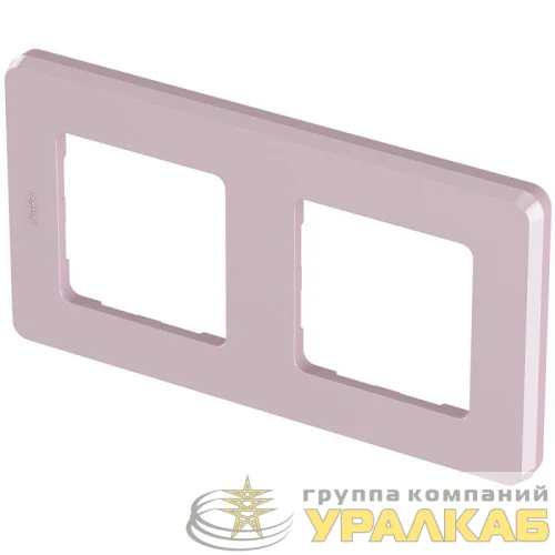 Рамка 2-м Inspiria роз. Leg 673944 детальная картинка