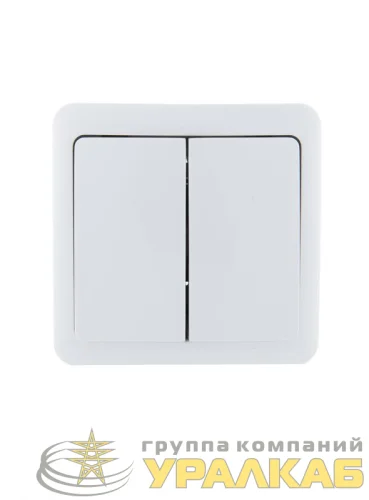 Выключатель 2-кл. 1п ОП Viola 10А IP20 бел. LEZARD 