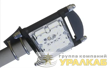 Светильник светодиодный "Стриж" ДКУ19-50-Д ALB 