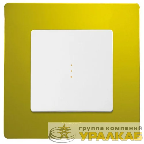 Рамка 1-м Etika зел. папоротник Leg 