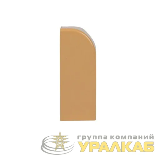 Заглушка 20х10 под свет. дерево Plast PROxima (уп.4шт) EKF ecl-20-10x4 детальная картинка