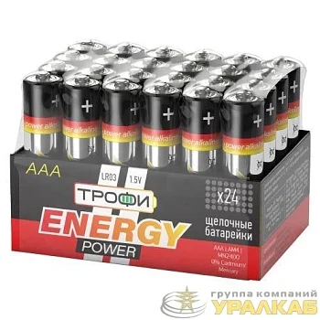 Элемент питания алкалиновый AAA/LR03 LR03-24 bulk ENERGY POWER Alkaline (уп.24шт) Трофи Б0035375