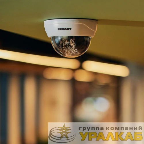 Муляж видеокамеры внутренней установки RX-305 Rexant 45-0305 детальная картинка