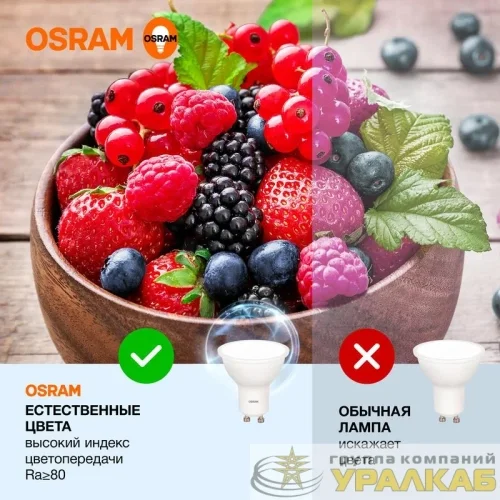 Лампа светодиодная LED Value LVPAR1635 5SW/865 5Вт GU10 230В 10х1 RU OSRAM 