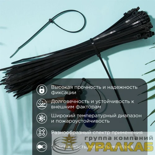 Хомут кабельный 3.6х250 нейл. черн. (уп.100шт) Rexant 07-0251 детальная картинка