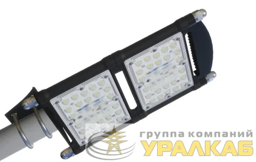 Светильник светодиодный "Стриж" ДКУ19-80-Ш ALB F6874 детальная картинка