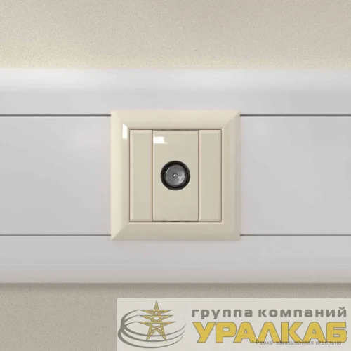 Розетка телевизионная оконечная TV 1мод. Avanti "Ванильная дымка" DKC 4405521 детальная картинка