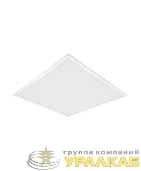 Светильник светодиодный Eco Class Panel 600 36Вт 6500К IP40 3240лм 595х595 ДВО без скоб панель бел. LEDVANCE 4058075386662 Светильник светодиодный Eco Class Panel 600 36Вт 6500К IP40 3240лм 595х595 ДВО без скоб панель бел. LEDVANCE 4058075386662