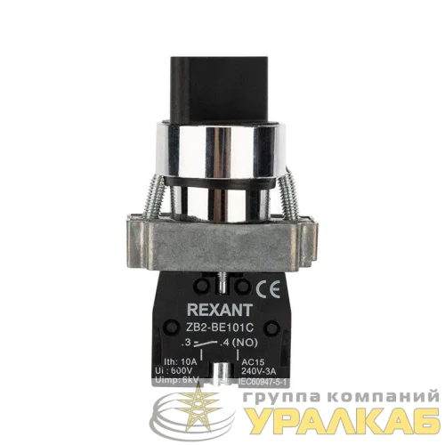 Переключатель BD21 2P короткая ручка NO Rexant 