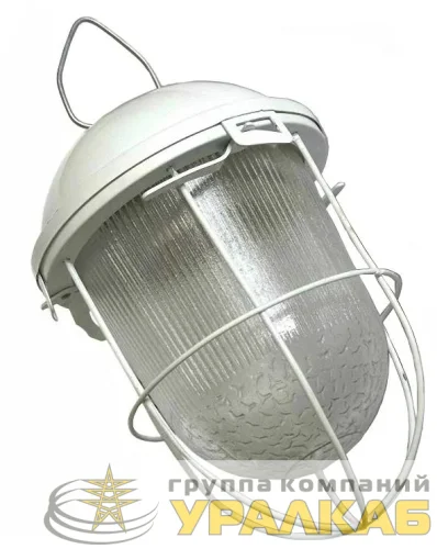 Светильник НСП 02(41)-200-003 с решеткой Владасвет 10114 детальная картинка