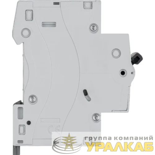 Выключатель автоматический модульный 1п C 16А 4.5кА RX3 Leg 419664 детальная картинка