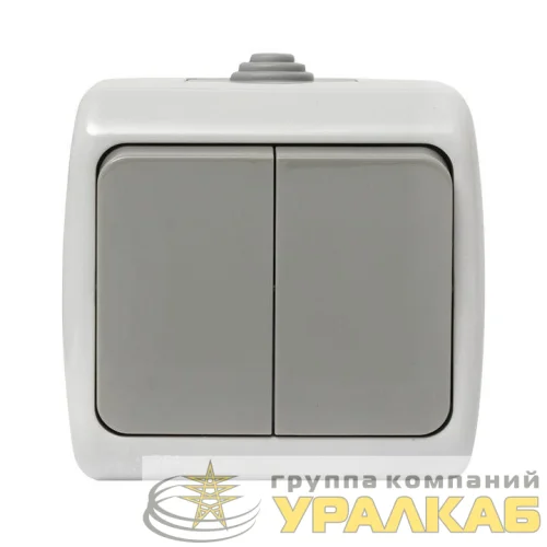 Выключатель 2-кл. ОП Мурманск 10А IP54 сер. EKF EFV10-023-30-54 детальная картинка