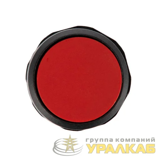Кнопка EB22 возвратная красн. NO+NC 230 В Rexant 36-5530 детальная картинка