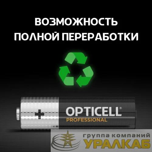 Элемент питания алкалиновый AA/LR6 (блист. 6шт) Professional Opticell 5052003 детальная картинка