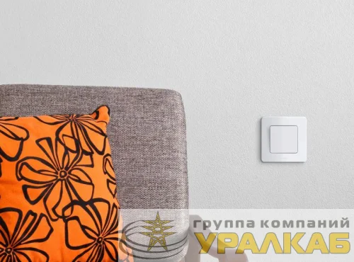 Рамка 1-м Inspiria бел. Leg 673930 детальная картинка