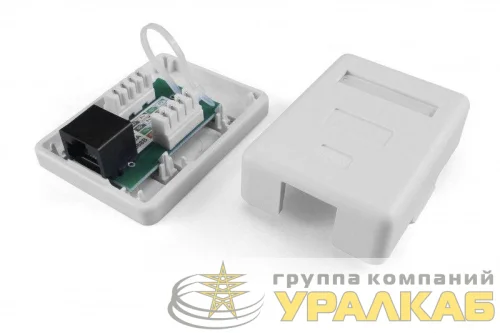 Розетка компьютерная 1-м ОП SB1-1-8P8C-C6-WH RJ45 (8P8C) кат.6 Dual IDC Hyperline 