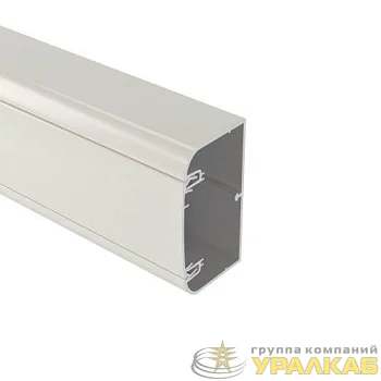 Кабель-канал 110х50 L2000 алюм. с крышкой DKC 11199
