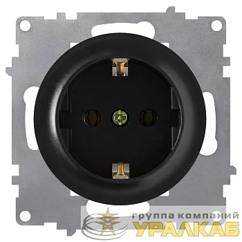 Розетка 1-м СП Florence 16А IP20 с заземл. защ. шторки винтов. клеммы механизм черн. (1E10101303) OneKeyElectro 2172810